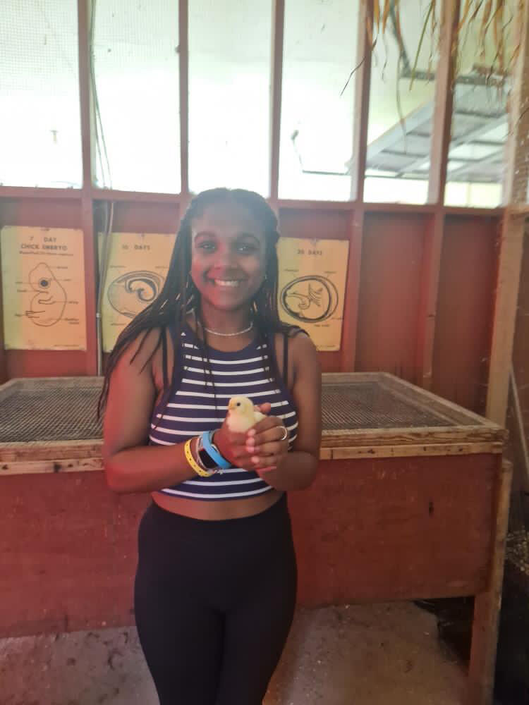 DE33 F67 A 29 C3 4328 BF3 E 1840 A0 D2461 F