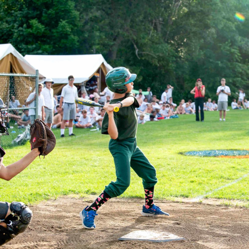 Apply 800x800 1 2026 02 09 120832 picd