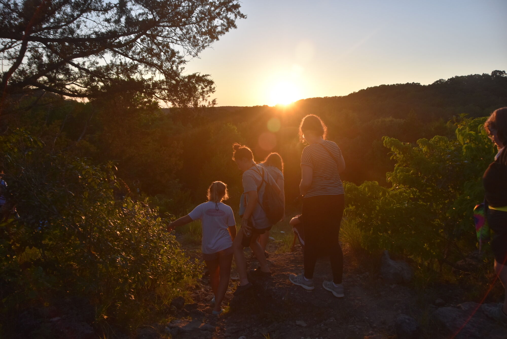 Night Owl Hike to the Glade ARI 0668