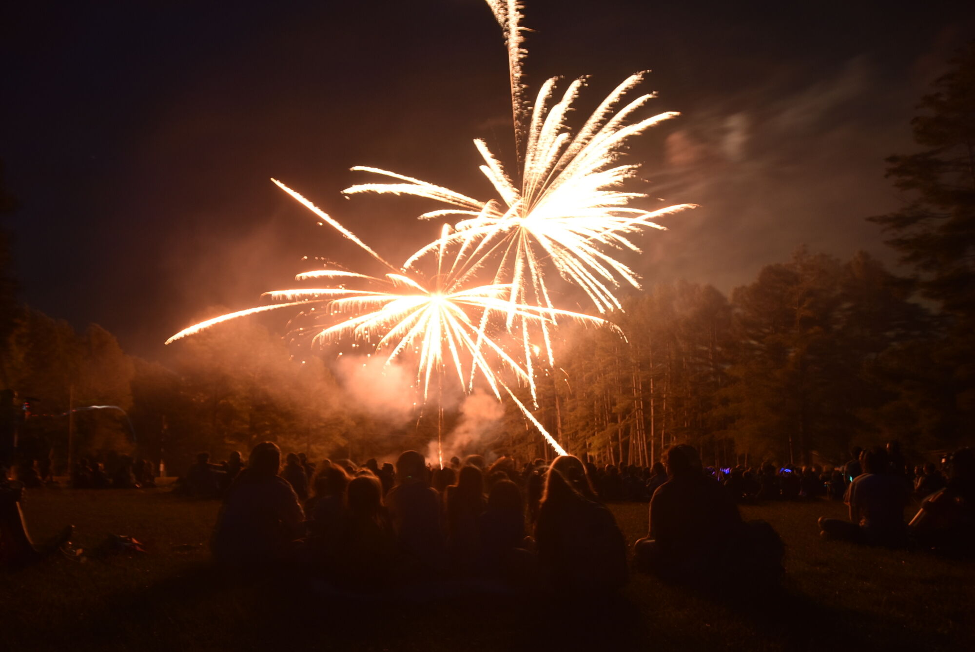 Evening Activity July 4 Firework ARI 0196