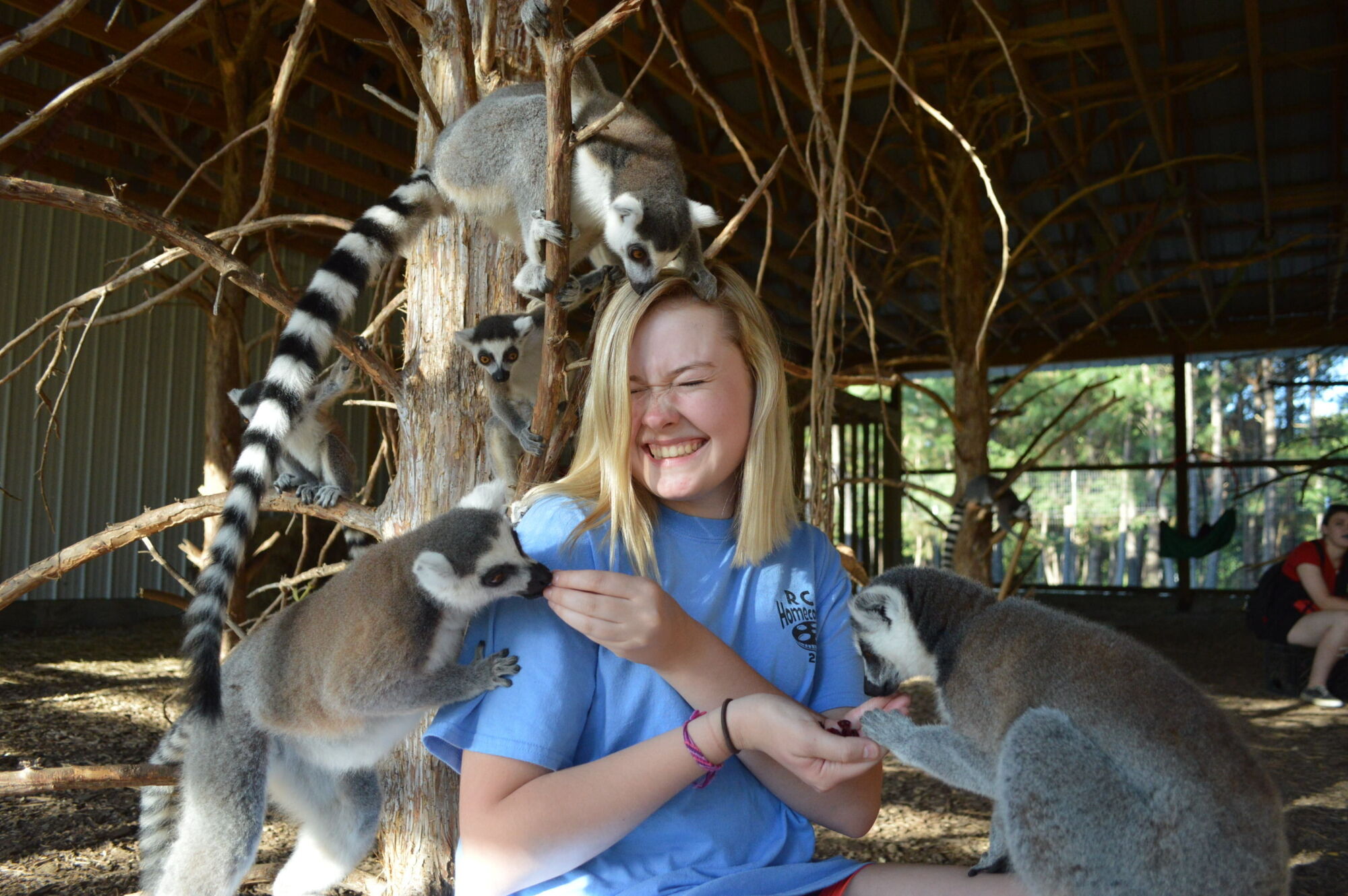 Activities Animals Lemur Island DSC 0920