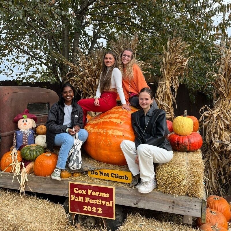 Ashley Barnard Camp Nov 8 800x800