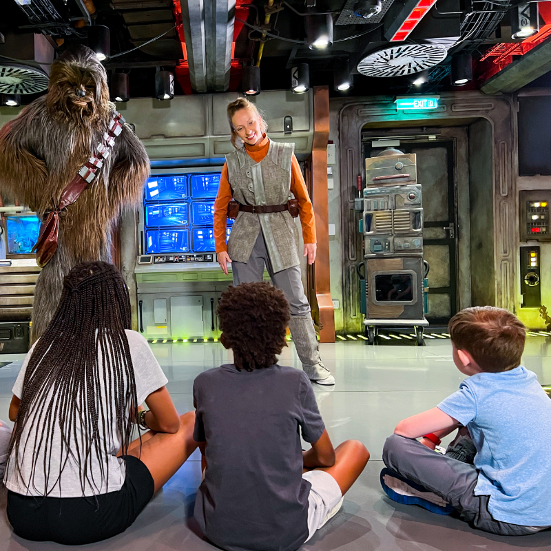 Disney Cruise Line CA webpage image