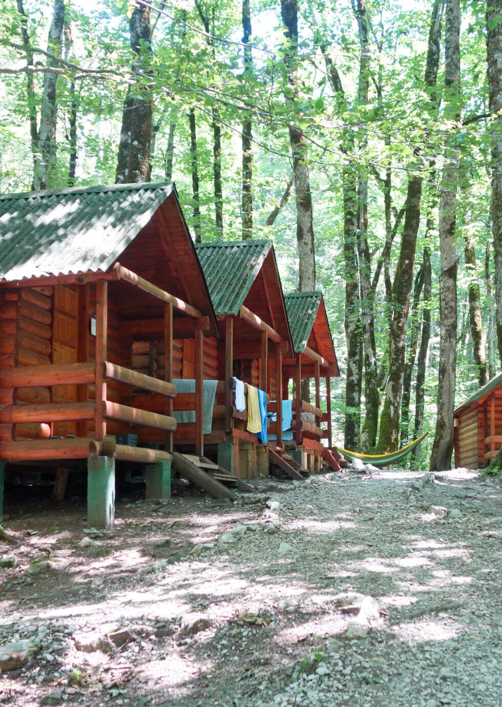 CA Feature Box Camp Types 980x1380