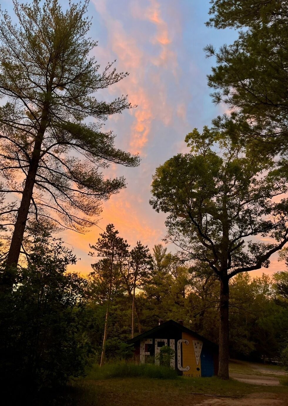 Gianna Lusard Camp USA July 2024 3 980x1380